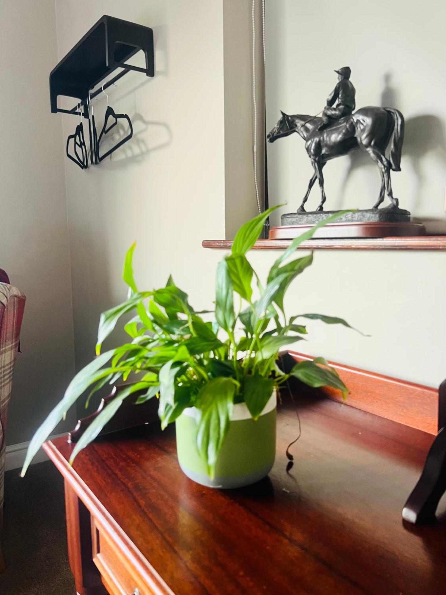Acrewood House Apartment Tara Ngoại thất bức ảnh